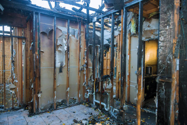 Professional Fire Damage Removal technician working in Anoka, MN