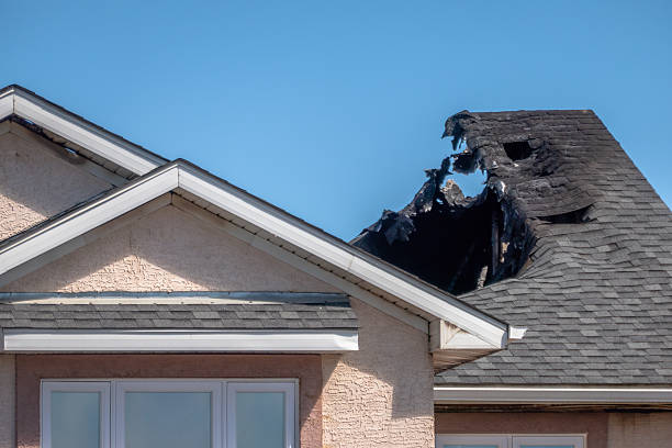 Top rated local Fire Damage Removal specialists in Anoka, MN